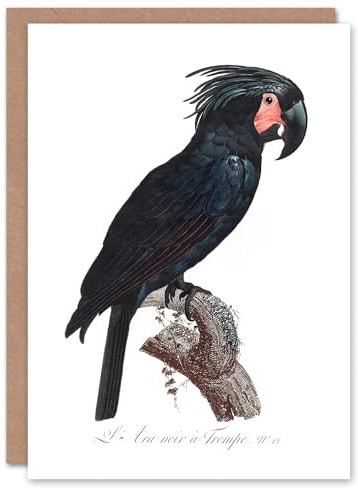 Artery8 Francois Levaillant Art Card Black Palm Cockatoo Parrot
