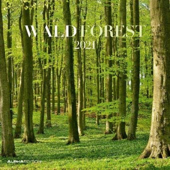 Wald - Broschurkalender 2021 - Alpha-Edition-Verlag - Wandkalender mit wundervollen Waldlandschaften und Platz zum Eintragen - 29,8 cm x 29,8 cm (offen 29,8 cm x 59,8 cm)