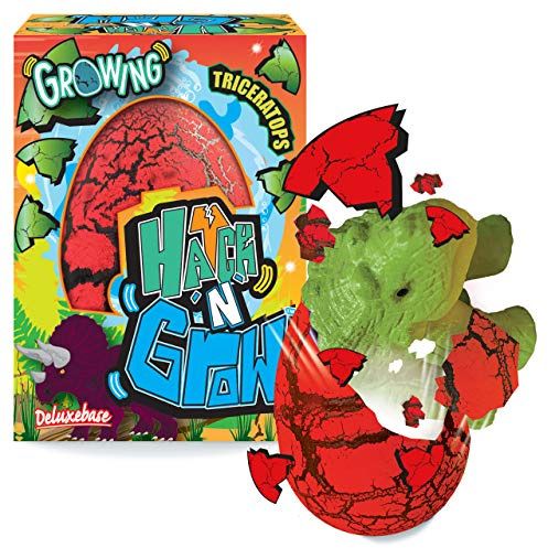 Hatch n Grow - Triceratops von Deluxebase. 11cm großes, wachsendes und schlüpfendes Ei mit Dinosaurierspielzeug. Legen Sie es ins Wasser um zu sehen wie Sich das magische Spielzeug verwandelt