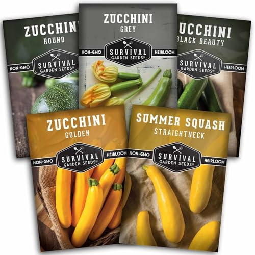 Zucchini & Summer Squash Seeds Collection - 5 Heirloom, Non-GMO Vegetables for Planting - Assortment of Golden, Round, Grey, Black Beauty, Straight Neck Summer Varieties - Survival Garden Seeds