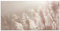 ARTland Wanddeko Glasbilder Wandbild Glas Bild 100x50 cm Pflanzen natural elements Gräser Pampasgras Boho Deko U5GQ