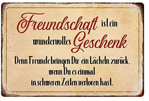 Blechschild 20x30cm gewölbt Freundschaft ist EIN Geschenk Spruch Sprüche Deko Geschenk Schild