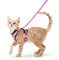 rabbitgoo Katzengeschirr mit Leine Softgeschirr für Katze Brustgeschirr Cat Harness Katzengarnitur ausbruchsicher verstellbar Katzenweste Rosa S