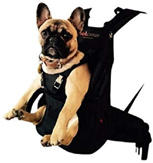 DogCarrier GEBRAUCHT! Big&Slim 7-16kg Premium Hunderucksack als Hundetransporttasche/Rucksack, schwarz für Hunde von 9,5-17kg