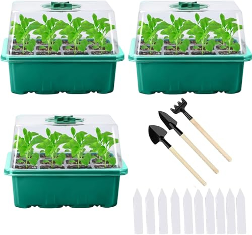 Seasboes Invernadero de interior, 3 unidades de 36 celdas, mini invernadero, semilleros, bandejas de arranque, bandejas de cultivo con tapa y ventilación para plantas de semillero