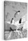 MuchoWow© Leinwand Bilder 60x90 cm Wanddeko Badezimmer WC Toilette Aesthetic Room Decor Deko Zimmer Wandbilder Modern Bild auf Leinwand Schottischer Highlander - Badewanne - Vintage - Kuh