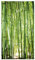 BODENMEISTER BM212 43 Papier peint non tissé Motif forêt de bambou naturel Vert 280 x 159 cm