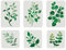 FINGERINSPIRE 6 Stück Aquarellblätter Malschablone 2 Größen Wiederverwendbare Blätter Malvorlage Efeu Dekoration Schablone Blatt Pflanzen Schablone für Malerei auf Wand, Holz, Möbel, Stoff, Papier