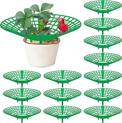 GIONAR 14 Pièces Support de fraisier, Support pour fraisiers, Supports de Culture de Fraises, Cadre de Culture de Fraises, Protection des Plants de Fraises