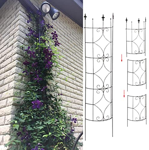 HZSCL Metallspaliere, Ranken, Pflanzenstütze, Halbrunde Pergola-Kletterlaube, Retro-Stil, Große Schmiedeeiserne Gartenspaliere Für Kletterpflanzen (Color : Black, Size : 180x25cm/70.9x9.8in)