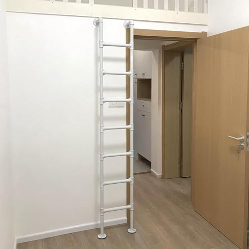 WQPMNYG Scala di Emergenza a Parete in Metallo a 2 Piani per seminterrato, Finestra, Letto Singolo, soppalco, Scale di Salita per Interni ed Esterni, Camper, Letto a Castello, Scala latera