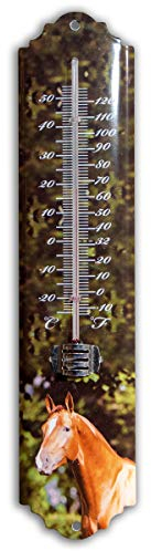 Antikas - Tierthermometer, aus Eisen, Grün Lackiert, Pferd Motiv