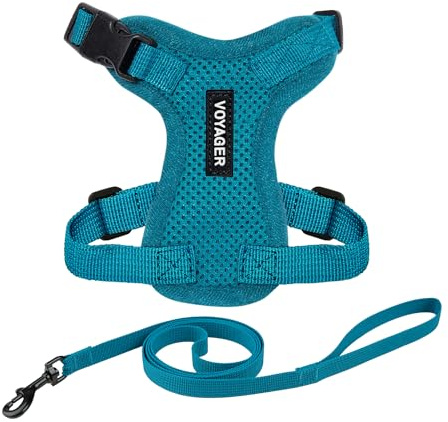 Voyager Step-in Lock Katzengeschirr und reflektierende Katzenleine mit Neoprengriff by Best Pet Supplies - Unterstützt kleine, mittelgroße und große Katzenrassen, Türkis, size S - 1,5 m