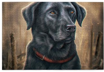 Black Labrador, Jigsaw Puzzles 1000 Pieces Wooden Jigsaw Toy Family Game Wall Decor