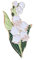 Generic Spilla Giglio Bianco, Misura unica, Plastica