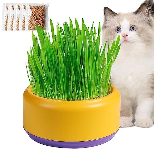 Katzengras Hydrokultur Topf | Katzengras-Wachstumsset Kit | Katzengras Pflanzer | Hydroponik-Katzengraskasten Katzengras-Keimschale | Katzensnacks Hydroponik Wachstum Schalen Tabletts Heimtierbedarf