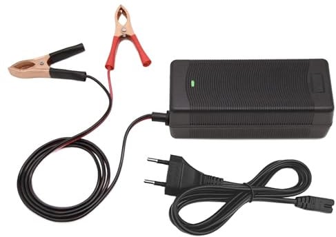 14,6 V 10 A LiFePO4 Akku-Ladegerät, Smart-Lader für 12,8 V Lithium-Eisenphosphat-Batterien Krokodil Klemmen LED Anzeige speziell für Lithium LiFePO4 Deep Cycle Akkus von Boot, WoMo Solor