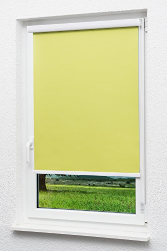 LYSEL Outlet - Kassettenrollo abdunkelnd Apfelgrün, (B x H) 60cm x 175cm in grün/apfelgrün