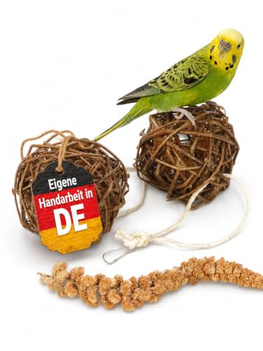 Vogelgaleria® Kolbenhirse gefüllte Weidenkugel 2er Pack - handgefertigt in Deutschland - Erstaunlicher Spielspaß für glückliche und aktive Wellensittiche