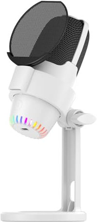 Walfront Dynamic Gaming Microphone USB RGB Microphone Computer Mic Kit Noise Cancellation PC Mic for Gaming/Meeting/Live Streaming/Audio Recording/Video (White)
