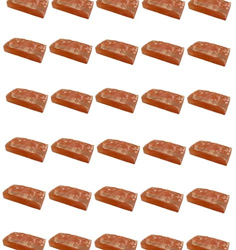 SudoreWell® Salzziegel 20x10x5 cm - eine Seite rau - aus der Salt Range Pakistan (40 Stück)