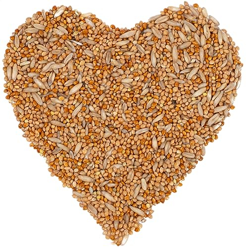 Lyra Pet® | 25 kg Wellensittichfutter | Alleinfutter für Wellensittiche | Vogelfutter für Ziervögel | Nährstoffreiches Futter für das Ganze Jahr | Energiespender für Sittiche | Artgerecht & Natürlich