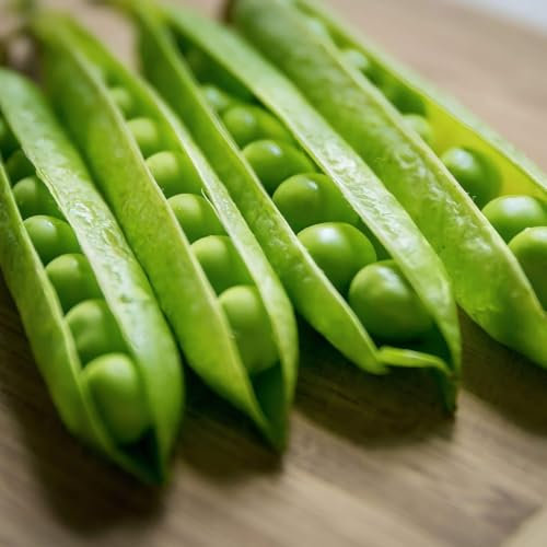 Pea Alderman Seeds - 100g - from Pretty Wild Seeds