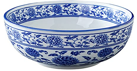 DOITOOL Bol À Nouilles En Porcelaine Bol En Céramique Pour Servir