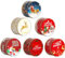 Maple Plentiful 6PCS Scatola di Latta Natalizie con Coperchio per Biscotti, Tè, Caramelle, Mini Scatola di Latta Rotonda per Biscotti, per Natale, Festa di Compleanno, Barattolo di Caramelle
