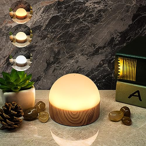 HL Nachttischlampe Dimmbar Nachtlicht mit Fernbedienung,12 Farben 7 Helligkeiten 4 Modi Tischlampe,Timing Memory Funktion Wasserdich Nachtlicht für Schlafzimmer Esszimmer Camping,Halbkreisförmig
