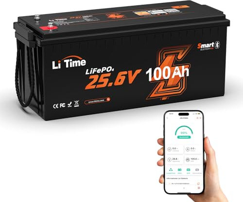 LiTime 24V 100Ah Batería Litio con Bluetooth y Protección contra Bajas Temperaturas, Bateria Lifepo4 con 100A BMS, 4000+ Ciclos, Sustituto perfecto de Baterías Plomo-ácido, para Vehículos Recreativos