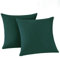 RUIKASI Kissenbezug 80 x 80 Grün 2er Set - Oeko Tex Kopfkissenbezug 80x80 Dunkelgrün Kissen Bezug 80x80cm mit Reißverschluss aus Mikrofaser, Polsterbezug Doppelpack Set Pillow Case Pillow Cover