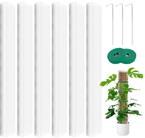 Moosstab für Monstera Rankhilfe: 6 Stück 61cm Moosstab Pflanzen Moosstangen Set - DIY Moosstab Erweiterbar Pflanzenunterstützung Moss Pole Moosstab Transparent Rankhilfe