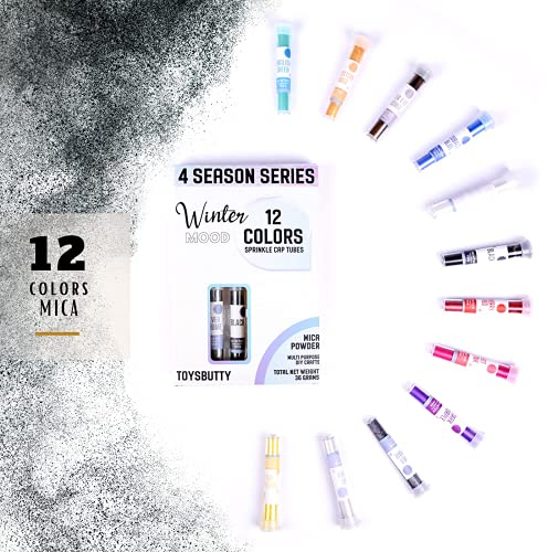 ToysButty 12 Farben Mica Pulver Kit für Epoxidharz-Pigmentset Seifenfarben, blumige Farben in Tuben aufbewahrt, Make Up, Lipgloss, Badebomben, Kunstharzfarbstoff Winter der 4-Jahreszeiten-Kollektion