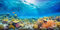 MIRRORANG 120x50cm Unterwasser Aquarium Hintergrund Blaues Meer Korallenriff Unterwasserwelt Aquarium Hintergrund