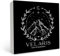 OFlich Velaris Holz-Schild – Velaris City of Starlight Holzkastenschild, Acotar Schreibtisch Tischdekoration, ACOMAF Nachtplatz-Geschenk, ACOTAR Geschenk