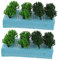 STOBOK 2 Kisten Bush-hain-modell Mini-landschaftsbaum Pflanzen Von Bonsai-bäumen Miniatur Modellbäume Trainieren Modellbau Gras Modellbau Tuft Dekorative Kiefer Moos Bahn Plastik