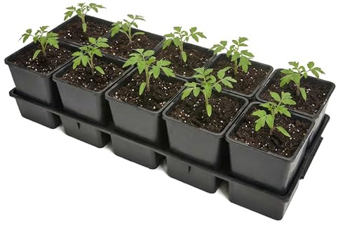 Garronda Anzuchtschale 10 Plätze mit 1,25 L Pflanztöpfen hoch Set Transporttray Kunststoff für Gewächshaus Garten Anzuchtsysteme mechanischen Transport Schwarz GD-0208