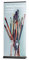 MultiBrands® Rollup Display Premium schwarz - JETZT SELBST GESTALTEN - mit eigenem Wunschmotiv, individuell Bedruckt, problemlos online editiert ohne Umwege (85 x 200 cm)