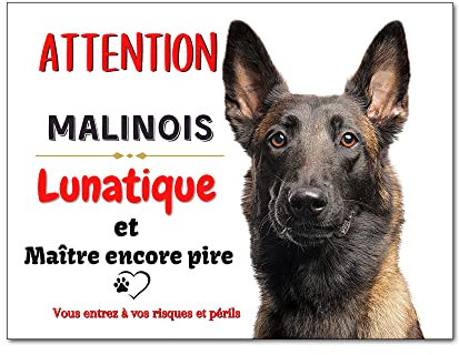 Plaque humour Attention Chien lunatique - panneau berger belge malinois lunatique et maitre encore pire (7)