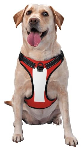 Premium-Hundegeschirr mit Schweizer Flagge, für kleine, mittelgroße und große Hunde, langlebig, kein Ziehen, mit reflektierenden Riemen und Schnellverschluss-Schnallen, Größe M