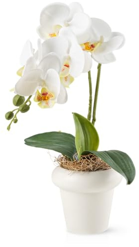 PASCH® Orchideen künstlich in Hochglanz-Keramiktöpfen (46cm) | Kunstblumen im Topf | Kunstblumen wie echt | künstliche Orchideen im Topf (Weiß)