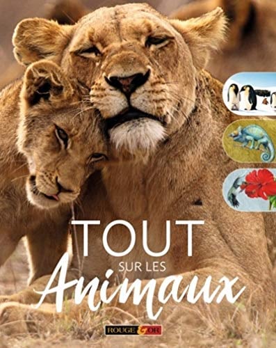 Tout sur les animaux - Dès 6 ans