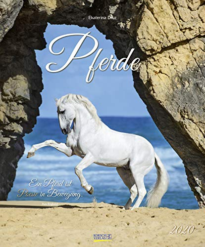 Pferde 2020: Großer Wandkalender. Foto-Kunstkalender - Pferdekalender mit literarischen Zitaten. 55 x 45,5 cm