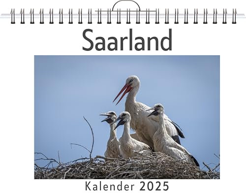 Saarland - (Wandkalender 2025, Kalender DIN A4 quer, Monatskalender im Querformat mit Kalendarium, das perfekte Geschenk)