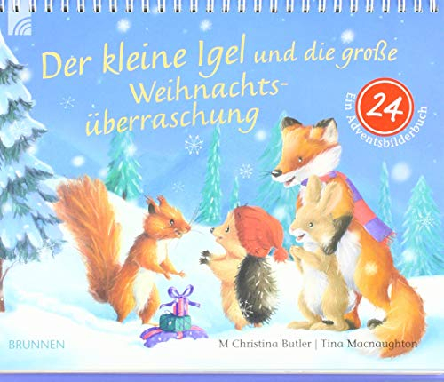 Der kleine Igel und die große Weihnachtsüberraschung: Ein Adventsbilderbuch