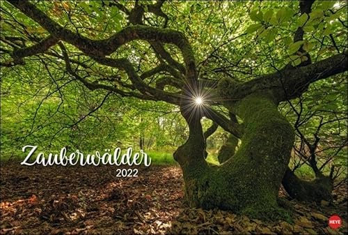 Zauberwälder Edition Kalender 2022