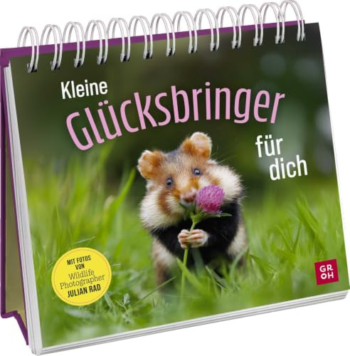 Kleine Glücksbringer für dich: Mit Fotos von Wildlife Photographer Julian Rad | Aufsteller mit süßen und lustigen Tierfotos – ideal für alle Tier- und Naturliebhaber