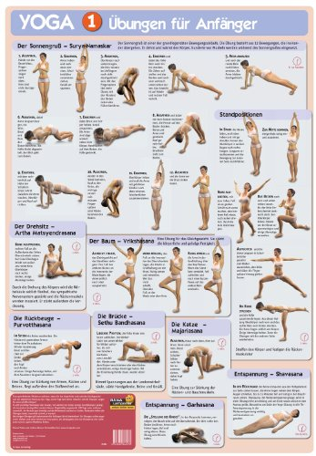 Poster Yoga I Übungen für Anfänger: Yoga-Grundübungen immer im Blick mit dem Yoga-Poster. Tägliche Yoga-Übungen halten fit und schlank.