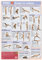 Poster Yoga I Übungen für Anfänger: Yoga-Grundübungen immer im Blick mit dem Yoga-Poster. Tägliche Yoga-Übungen halten fit und schlank.